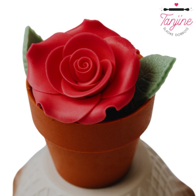 Instagram post from tanjinesladkedobrote. This post is in position 5.